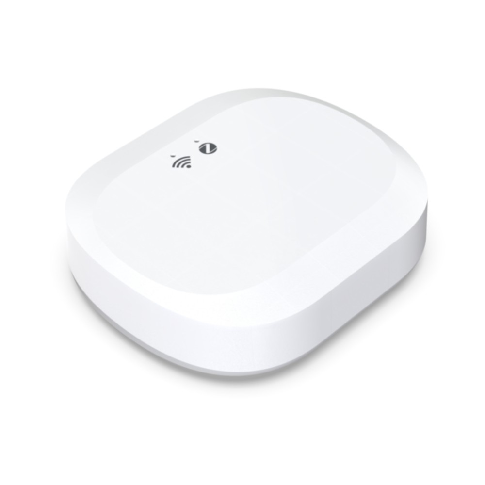 Zigbee Smart mini Hub