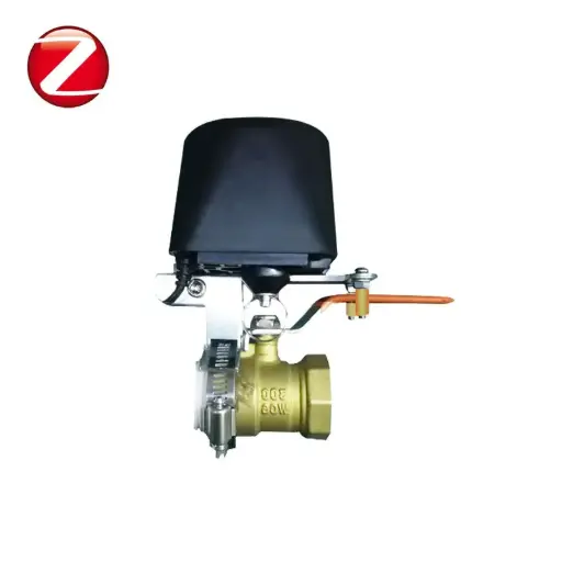 [ZVC-0020] Zigbee Smart Water Valve